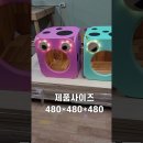 애니멀하우스 이미지