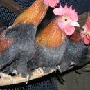 연제구-016 이미지