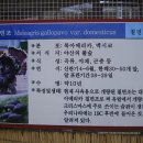 경북야생동물구조관리센터 이미지