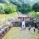 자연휴양림 얕은 물놀이장 이미지