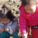 명석어린이집 이미지