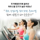 하우스텔