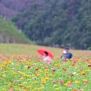 산소카폐 청송정원 (2) 이미지