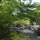 대청 계곡길 이미지