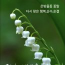 심동설(心動說) 이미지