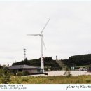 평창들꽃 이미지