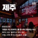 스피닝울프 성수 | [3월 제주여행] 플레이스 캠프 제주 - 디럭스 숙박후기(스피닝울프 부어라 마시타 소셜 파티, 도렐)