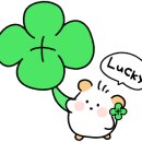 미주미술학원 이미지