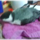 운천카센타 티스토리
