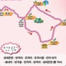 자인계정숲 이미지