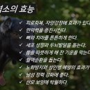 만덕농장 이미지