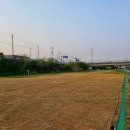 왕숙천공원 농구장옆 이미지