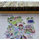 허브아일랜드 식물원 | : 경기 포천 당일치기 여행(허브아일랜드 솔직 후기)