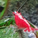 소마농장 이미지