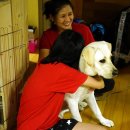 광려천변 호계산책로 | 다솜이의 2주일