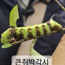 난지 생태습지원