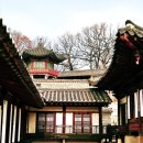 진주가축인공수정소 | 창덕궁 후원과 국립현대미술관 서울역사박물관에서의 특별한 하루: 문화유산과 현대미술의 만남을 즐기다