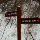 백덕산주유소 Daum카페