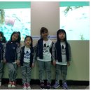 울릉초등병설유치원 이미지