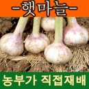 기쁨뜨락농장 네이버블로그