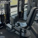 팔머메디스포츠 이미지