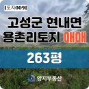 다미솔 네이버블로그