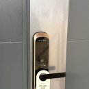 월월애견펜션 | [경북 상주] 하루 한 팀, 애견독채펜션 감성숙소 ’월월애견펜션‘ 4000평 천연 잔디 마당