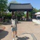 옥정 느티나무길 | [경북 안동, 2~3일차] 안동 2박 3일 추천 코스 : 이렇게만 가보세요 / 한옥 감성 숙소 추천