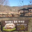 황토목욕탕 이미지