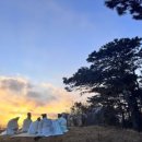 세도 가회리 장군제 이미지