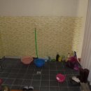 제천고추시장 이미지