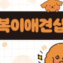 강쥐애견샵 이미지