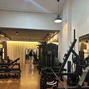 트레인스토밍 이미지