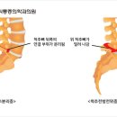 연세원마취통증의학과의원 네이버블로그