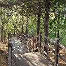 영장공원 이미지