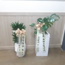 신월동130 이미지