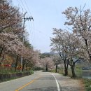 청룡목장 이미지