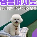 돌담이우다펜션