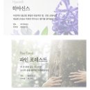 담다(DAMDA) 이미지