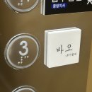 마고헤어미용실 | 상봉역 미용실 바오헤어 본점~ 엄마 파마 대만족 후기