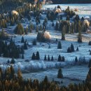 바바리아 이미지