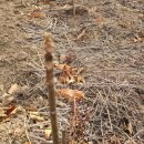 가중농장 이미지