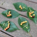 탑동초등학교 병설유치원 이미지