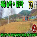 여주-0408 네이버블로그