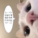 거양길-8 | [서현 마이비너스] 서현 속눈썹연장 마이비너스 나를 진짜 비너스로 만들어버려 ..