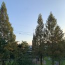 콘체르토음악학원 이미지