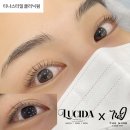 루시다X더나인