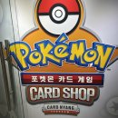 카드냥 역삼 ㅣ강남 포켓몬카드샵 방문 닌자스피너 니돈니산 솔직후기