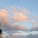 The 사랑할개(더사랑할개) | 그러다가 우리가 사랑할 시간이 더 있으면 좋겠다고 생각하게 됐어요 소망을 하게 됐죠