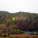 충남 서산시 운산면 원평리 / 임야 야산, 임업영농용지 나무재배부지 공원묘지용지 조경수식재부지 휴양지부지 귀산촌부지 요양시설용지 / 2 이미지